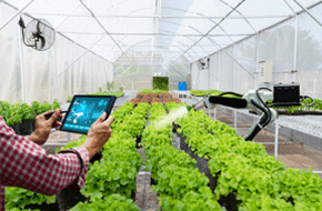 agrobot robotic strawberry harvester